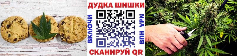Купить закладки  Озёрск  Cannafood конопля 