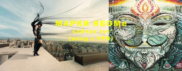 дурь Бронницы