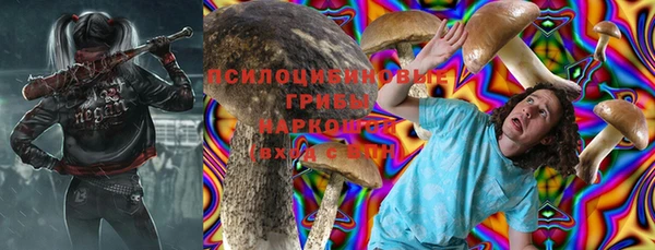 дурь Бронницы